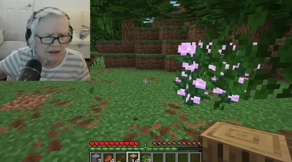 ▲▼阿嬤。（圖／翻攝自YT）