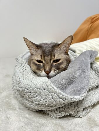 ▲。（圖／翻攝自X／@linda1013blue）