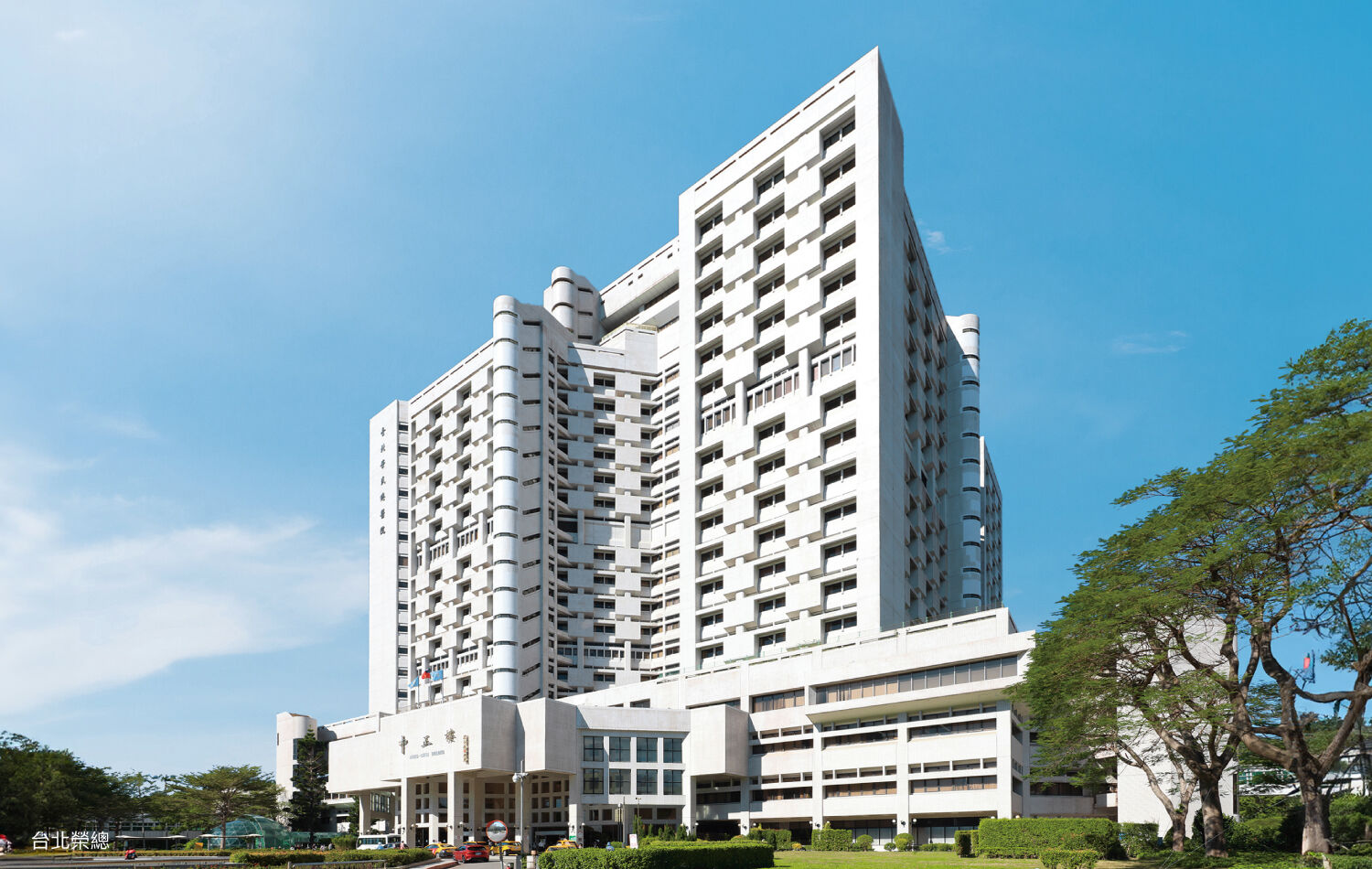 ▲▼石牌,昇樺知玉,輝達。（圖／昇樺知玉提供）