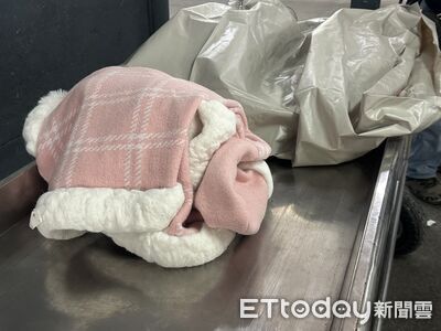 11歲女童大叫一聲亡！心愛粉紅外套陪她最後一程　解剖死因出爐