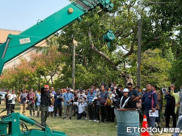 ▲▼景觀樹木相關研習課程-學員實際演練。（圖／記者吳世龍翻攝）