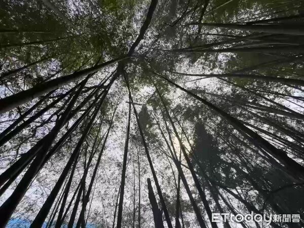 ▲▼ 古坑草嶺山林火警持續搶救中 。（圖／記者游瓊華翻攝）