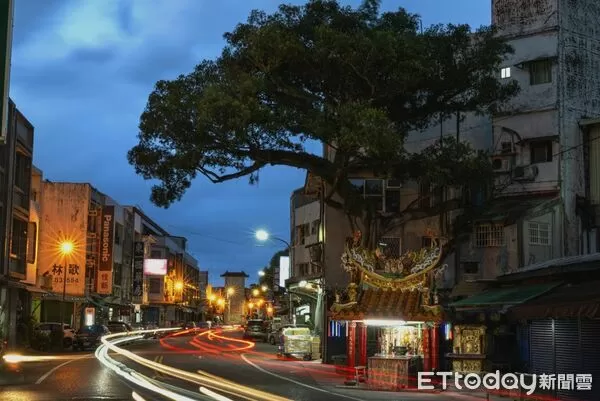 ▲土地公廟旁原先老樹風貌。（圖／富里鄉公所提供，下同）