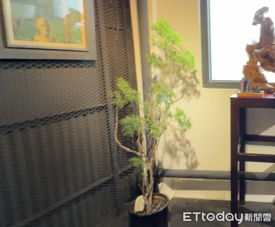 ▲▼             。（圖／記者張雅雲攝）
