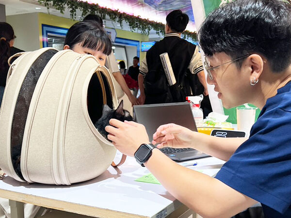 慈愛動物醫院健檢。（圖／慈愛動物醫院提供）