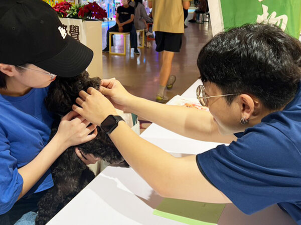 慈愛動物醫院健檢。（圖／慈愛動物醫院提供）