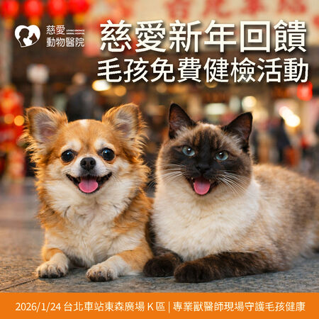 慈愛動物醫院健檢。（圖／慈愛動物醫院提供）