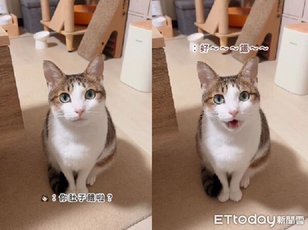 ▲。（圖／Threads@wuli_hana_提供，請勿隨意翻拍，以免侵權。）