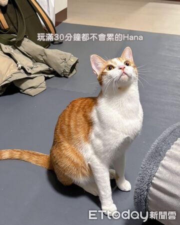 ▲。（圖／Threads@wuli_hana_提供，請勿隨意翻拍，以免侵權。）