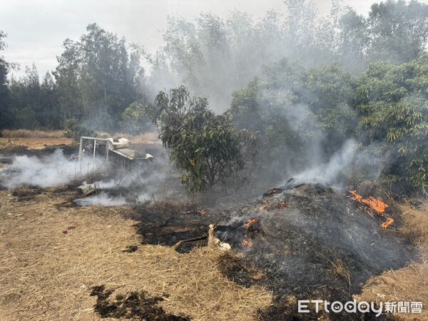 ▲▼金門金寧鄉大學路雜草火警，燃燒面積約300平方公尺。(圖／金門縣消防局提供)