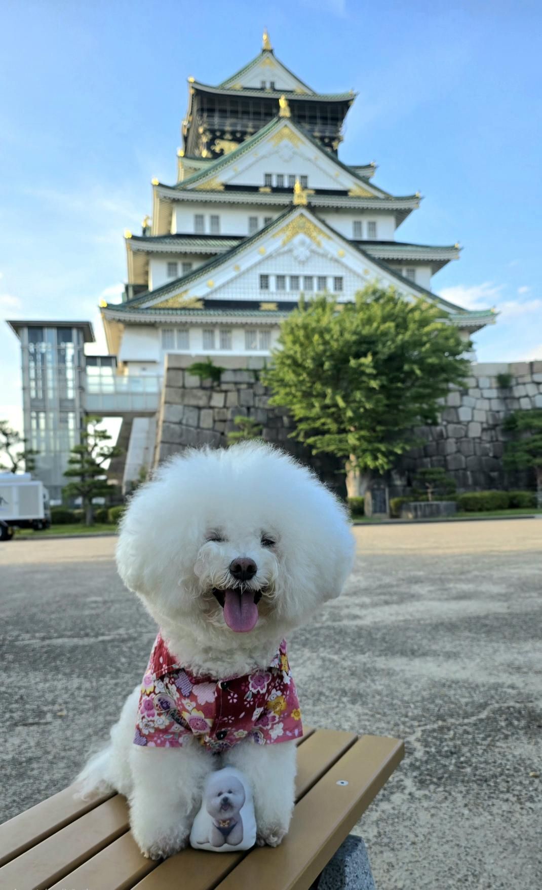 ▲高雄動保寵物火災逃生講座　飼主曝「模擬濃煙屋」體驗超有感。（圖／threads @bichon_wan提供，請勿隨意翻拍，以免侵權。）