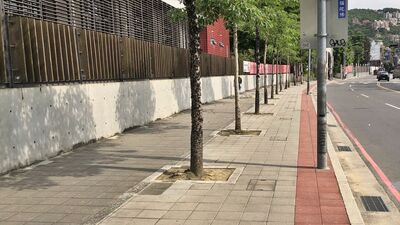 大學學測1／17起連考3天　新北部分考場紅線可臨停接送