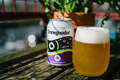 喝啤酒也能救世界　耐旱穀物復育土壤也幫弱勢換潔淨水