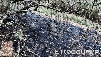 雪霸國家公園大霸線步道山林大火   驚險搶救及時守護珍貴山林