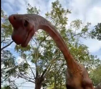 「台版侏儸紀世界」回來了　百果山探索樂園全新開幕