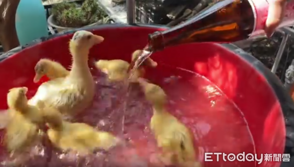 ▲米酒瓶內「其實是溫水」。（圖／網友 jiatinghsiao 提供，請勿隨意翻拍，以免侵權。）