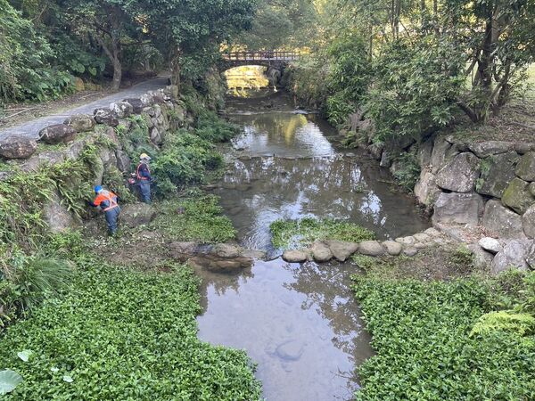 ▲「大溝溪生態治水園區」完成清疏。（圖／翻攝自台北市政府工務局）
