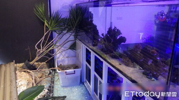 ▲▼ 驚悚畫面曝！高雄小貨車「直衝水族館」撞爛鐵門　店家慘賠30萬。（圖／記者賴文萱翻攝）