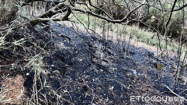 ▲雪霸國家公園大霸線登山步道，11日發生山林火警，幸好搶救及時未釀成重大災害。過去曾造成九九山莊附近燒毀大片珍貴山林。（圖／記者楊永盛翻攝）