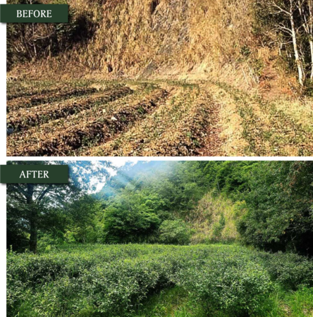 ▲「土壤碳匯」為氣候解方關鍵之一，台灣農業正式跨出制度化的一步。（圖／新生永續顧問提供）