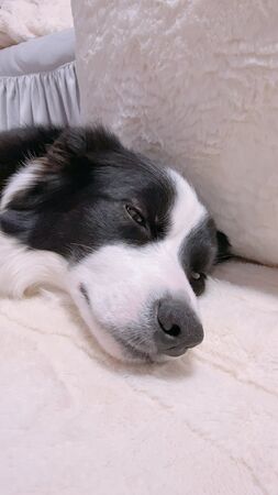 ▲。（圖／翻攝自X／@gisemitty）