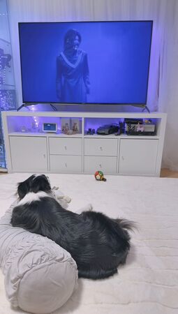 ▲。（圖／翻攝自X／@gisemitty）