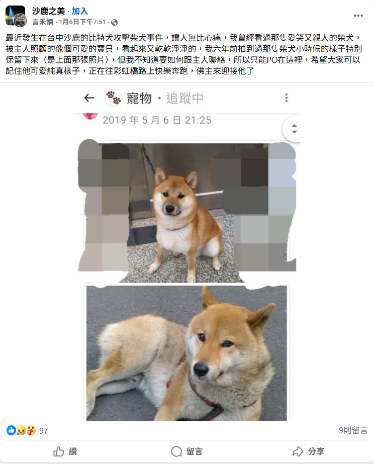 ▲黑狗破門逃家！柴犬散步遭撕咬不治　台中動保開罰3千：非比特犬。（圖／翻攝自Facebook／沙鹿之美）