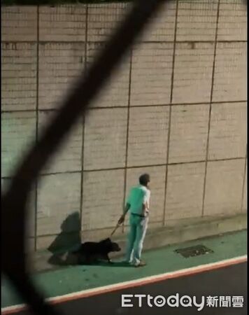 ▲門沒關！黃狗衝出咬傷路人　北市動保：該戶曾因未繫繩被處罰鍰。（圖／臺北市動物保護處提供。）