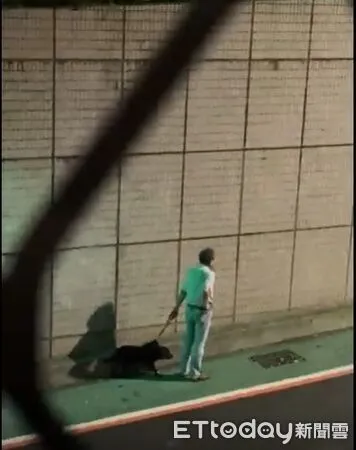 ▲門沒關！黃狗衝出咬傷路人　北市動保：該戶曾因未繫繩被處罰鍰。（圖／臺北市動物保護處提供。）