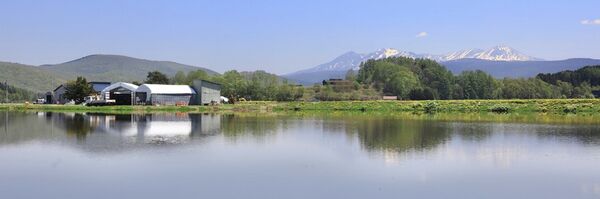 ▲▼日本北海道東川美食「玄米おむすび ちゃみせ」，當地人才知的隱藏可愛玄米飯糰店，一天只賣兩個半小時。（圖／部落客小虎提供）