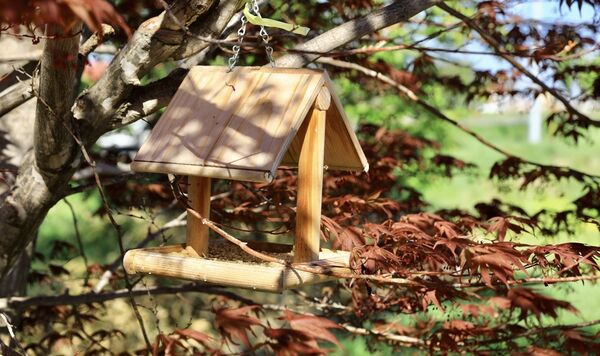 ▲▼日本北海道東川美食「玄米おむすび ちゃみせ」，當地人才知的隱藏可愛玄米飯糰店，一天只賣兩個半小時。（圖／部落客小虎提供）