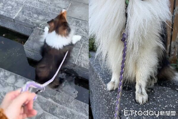 散步中「腳底打滑」差點變落湯狗！　媽好無奈被迫提前洗澡