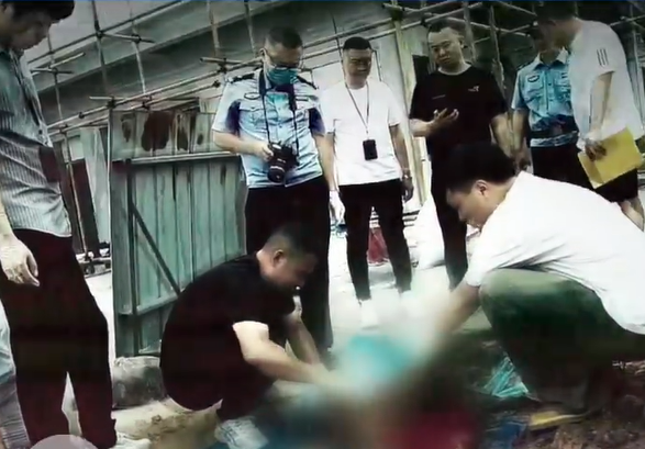 ▲▼花壇挖出白骨揭28年血案。（圖／翻攝自微博）