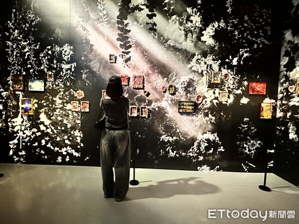 ▲▼《蜷川實花展 with EiM：彼岸之光，此岸之影》將於1月17日至4月19日在台北華山展出。（圖／記者林育綾攝）