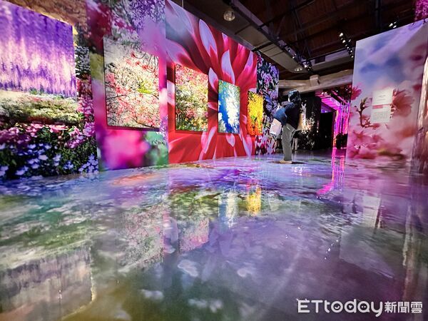 ▲▼《蜷川實花展 with EiM：彼岸之光，此岸之影》將於1月17日至4月19日在台北華山展出。（圖／記者林育綾攝）