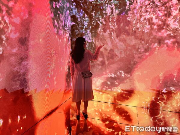 ▲▼《蜷川實花展 with EiM：彼岸之光，此岸之影》將於1月17日至4月19日在台北華山展出。（圖／記者林育綾攝）