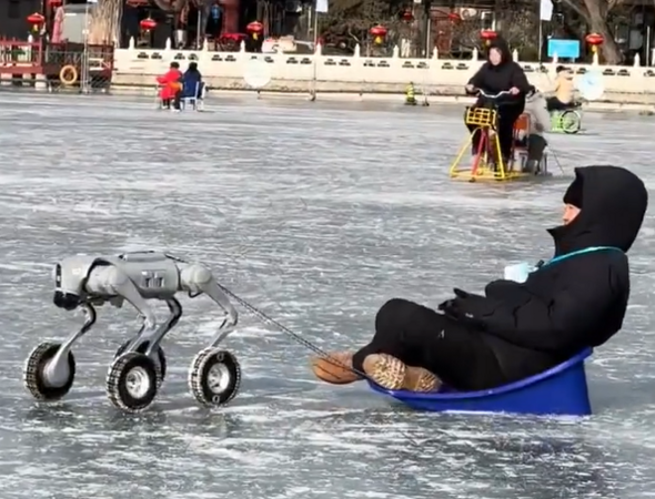 ѩ��Ȯʧҵ��   �й��������ϰ���ѩ��