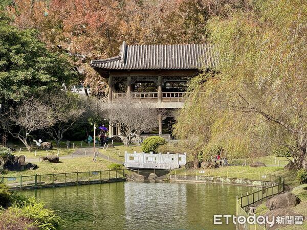 ▲故宮旁的至善園開放免費參觀。（圖／記者彭懷玉攝）