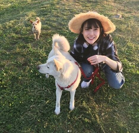 ▲▼李孝利,李尚順,IU,孝利家民宿,Guana。（圖／翻攝自Instagram／sangsoonsangsoon）