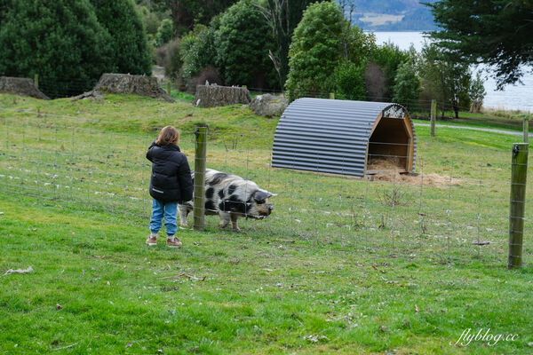 ▲▼紐西蘭南島TSS恩斯羅號蒸汽船遊船。（圖／部落客飛天璇提供）