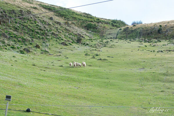 ▲▼紐西蘭南島TSS恩斯羅號蒸汽船遊船。（圖／部落客飛天璇提供）