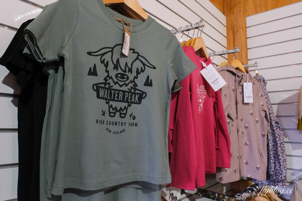 ▲▼紐西蘭南島TSS恩斯羅號蒸汽船遊船。（圖／部落客飛天璇提供）