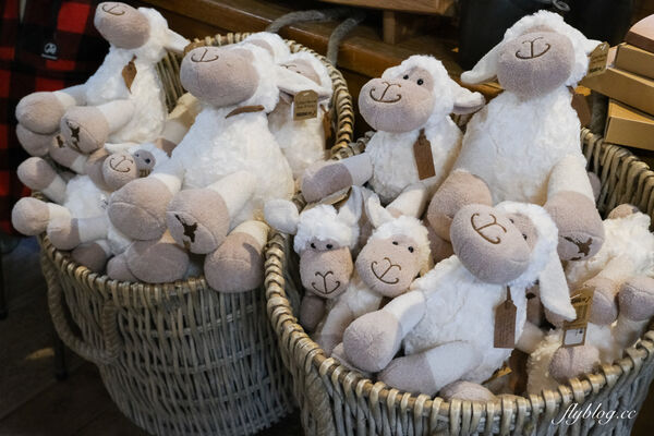 ▲▼紐西蘭南島TSS恩斯羅號蒸汽船遊船。（圖／部落客飛天璇提供）