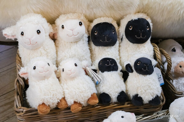 ▲▼紐西蘭南島TSS恩斯羅號蒸汽船遊船。（圖／部落客飛天璇提供）