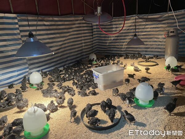 ▲展望會鳳林中心社工帶領詩歌敬拜揭開序幕。(圖／展望會提供，下同)