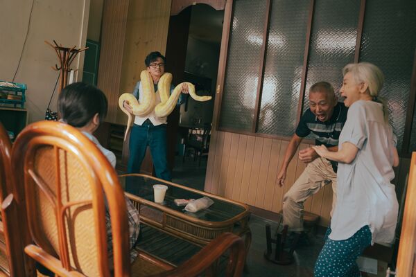 ▲蘇晏霈在《人生只租不賣》憔悴裝可憐，陳姸霏和黃河解決各種租房狀況、唐從聖帶黃金蟒蛇寵物霸氣登場。（圖／公視台語台提供）