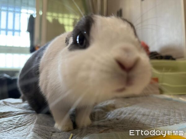 ▲。（圖／Threads@hsi_liang提供，請勿隨意翻拍，以免侵權。）