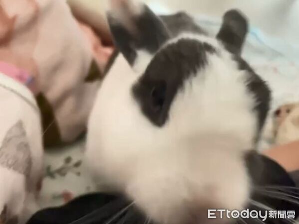 ▲。（圖／Threads@hsi_liang提供，請勿隨意翻拍，以免侵權。）