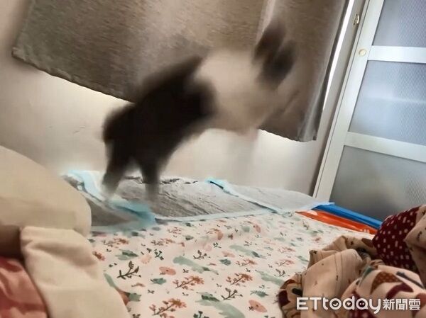 ▲。（圖／Threads@hsi_liang提供，請勿隨意翻拍，以免侵權。）