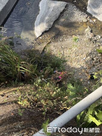 ▲▼        魚池鄉少年騎單車摔落12公尺橋下 消防員吊掛送醫     。（圖／記者高堂堯翻攝）